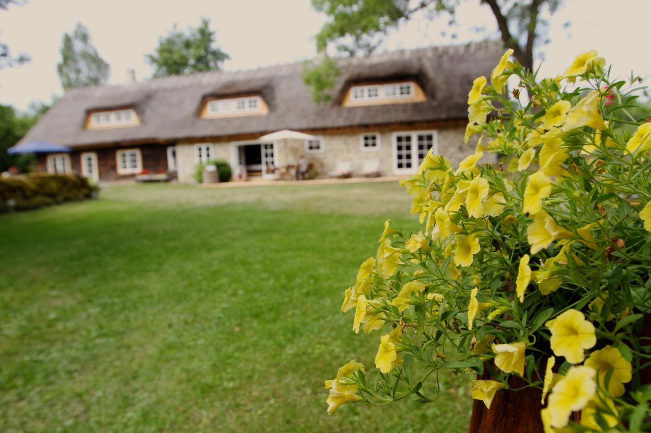 Metsara B & B Tornimae Ngoại thất bức ảnh