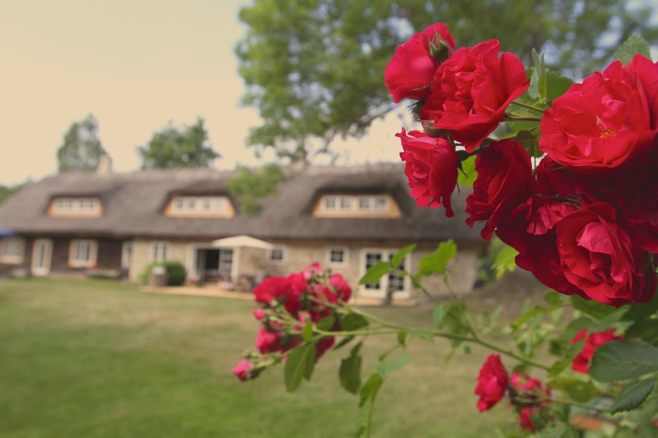 Metsara B & B Tornimae Ngoại thất bức ảnh